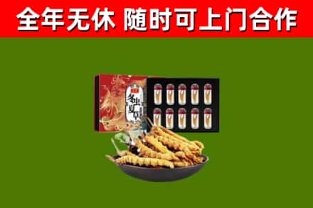 翼城回收冬虫夏草价格