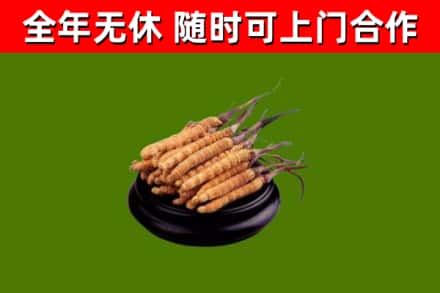 翼城烟酒回收冬虫夏草.jpg